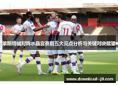 莱斯特城对阵水晶宫赛前五大亮点分析与关键对决展望