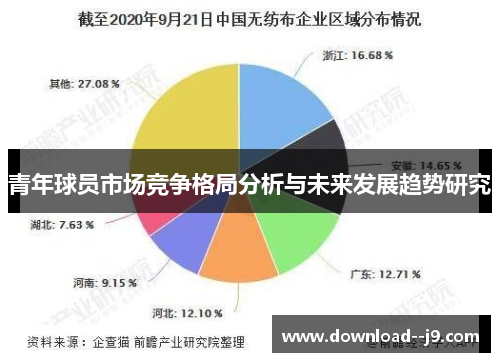 青年球员市场竞争格局分析与未来发展趋势研究 青年球员市场竞争格局分析与未来发展趋势研究